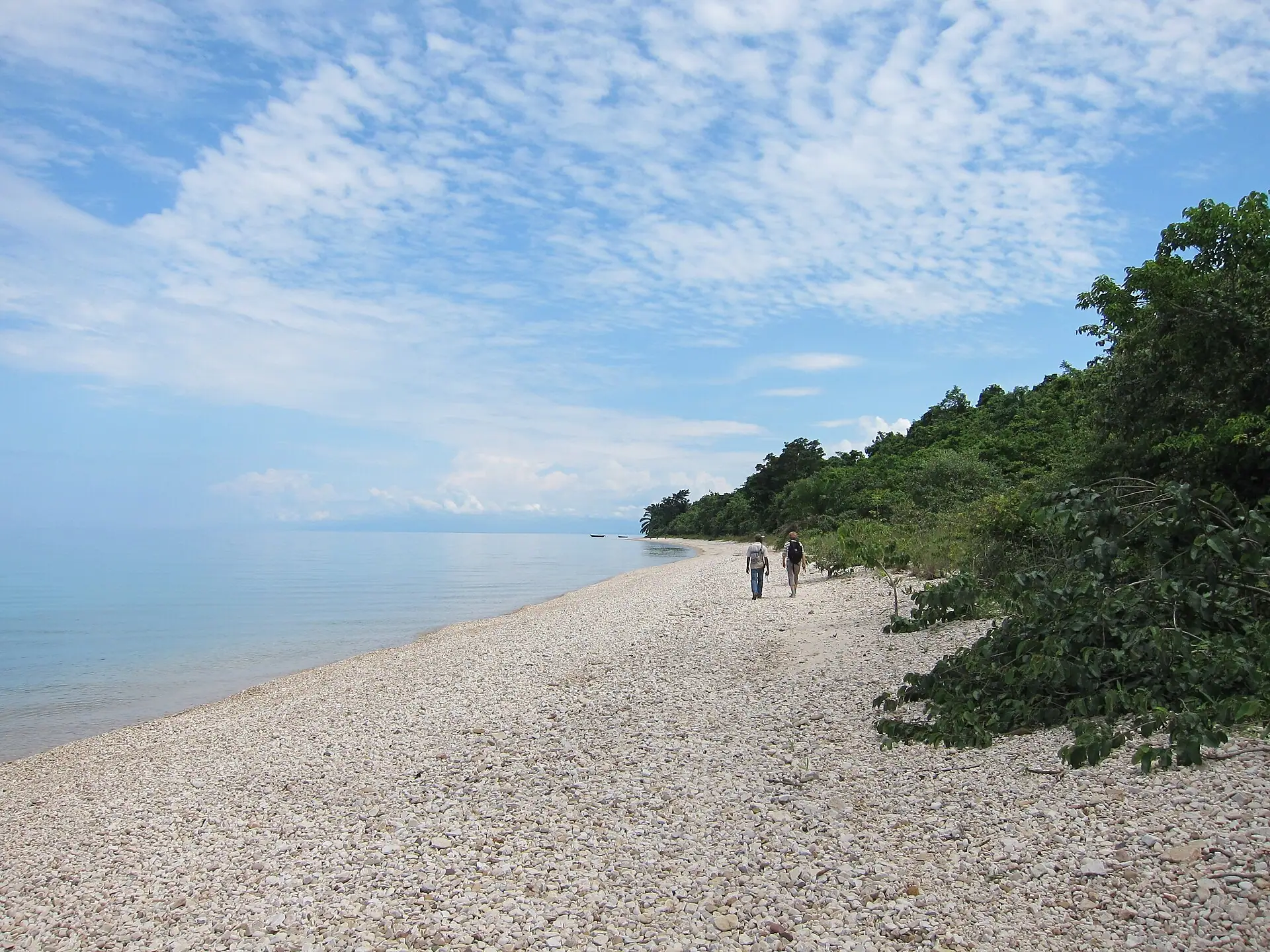 Ein Kiesstrand am Tanganjikasee, dahinter dichter Wald im Gombe-Stream-Nationalpark