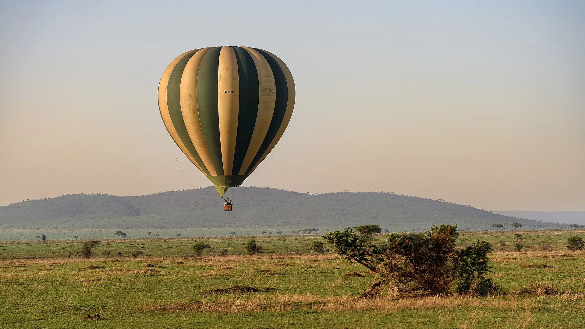Une montgolfière flottant à basse altitude au-dessus des plaines du Serengeti, tôt le matin