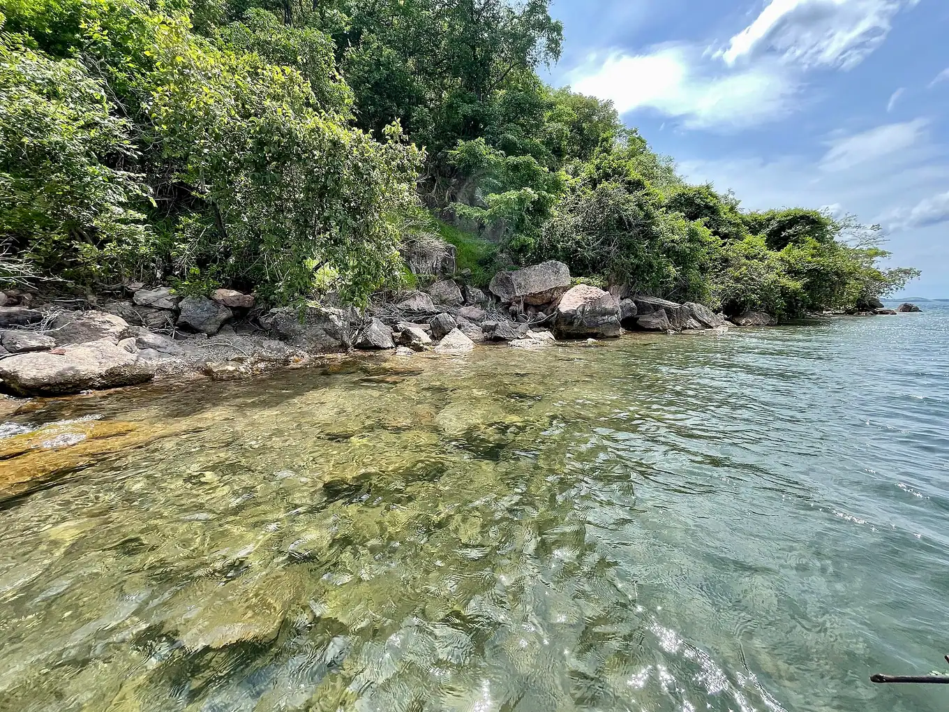 Klares, flaches Wasser über Felsblöcken am bewaldeten Ufer des Tanganjikasees, an dessen Küste die Mahale-Berge liegen
