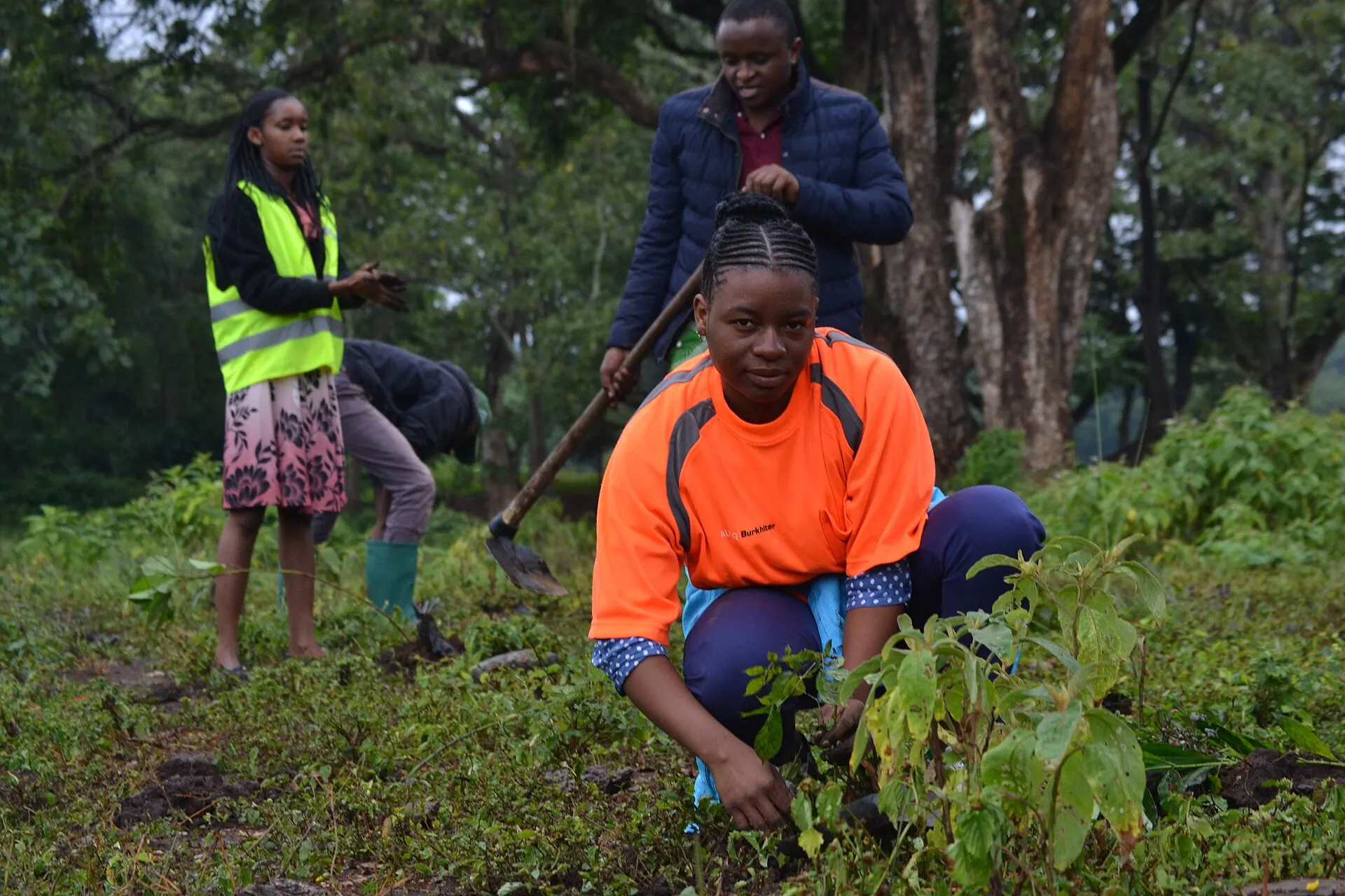 Un grupo de adultos plantando a mano plantones de árboles en un claro boscoso cerca de Arusha; uno se agacha para afirmar una planta joven mientras otro remueve la tierra con una azada